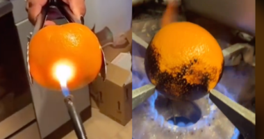 Burnt Orange For Covid Tiktok