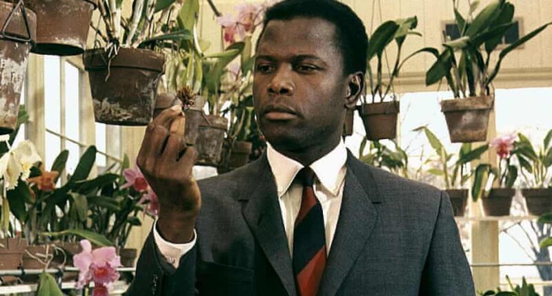 Who Is Sidney Poitier First Wife Juanita Hardy?