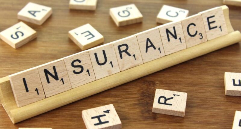 What Are The 7 Types of Insurance? The Most Common Types of Life Insurance