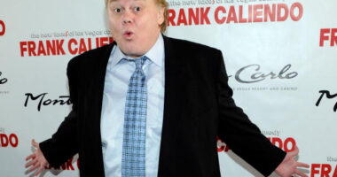 Was Louie Anderson married?