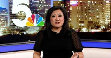 Meet Michelle Li Husband Jim Van Dillen: Everything To Know About The Reporter