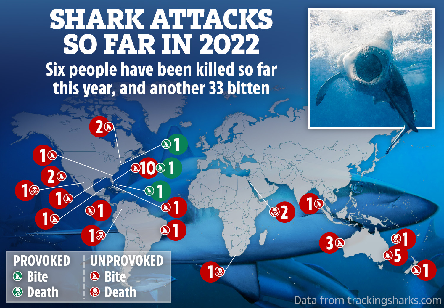 Shark attack map shows six dead & 33 mauled in 2022 so far as expert