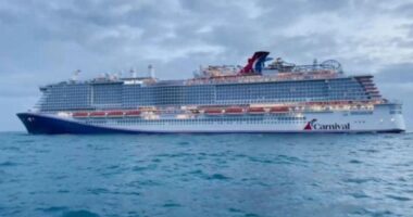 Missing Cruise Ship Passenger Found Alive In The Water, U.S Coast Guard says