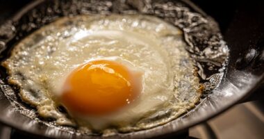 Eggs Can Improve Your Mental Abilities