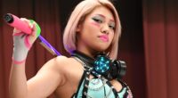 Hana Kimura Cause Of Death: Why Did She Commit Suicide?