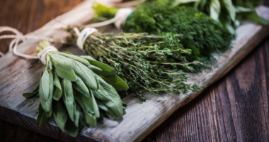 5 Best Herbs To Help With Pain Relief