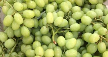 5 Legit Health Benefits Of Grapes