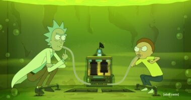 Is There Going To Be Rick And Morty Season 7? Release Date, Cast & All We Know!