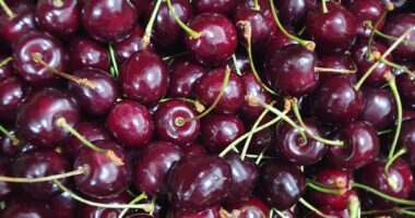 What Are The Health Benefits Of Cherries?