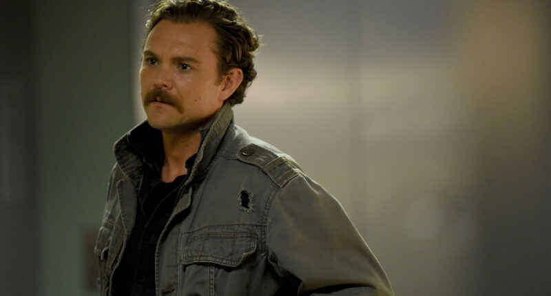 Martin Riggs Lethal Weapon Death: Why Was He Killed?