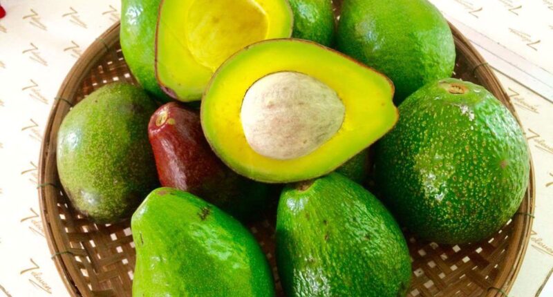Health Benefits Of Avocado