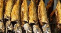10 Amazing Health Benefits of Eating Smoked Fish