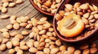 10 Amazing health Benefits Of Apricot Seed