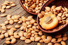 10 Amazing health Benefits Of Apricot Seed