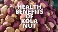 10 Amazing Health Benefits of Kola Nut