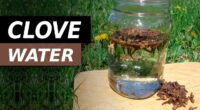 10 Benefits of Drinking Clove Water In The Morning