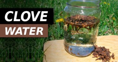 10 Benefits of Drinking Clove Water In The Morning