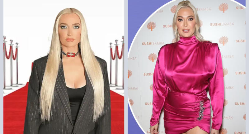 Is Erika Jayne Pregnant In 2024 Or Weight Gain? Before And After