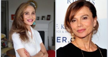 Who Are Lena Olin Parents Stig And Britta? Ethnicity And Siblings Revealed