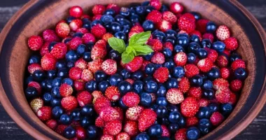 Can eating berries reduce stress-related disease risk in adults?