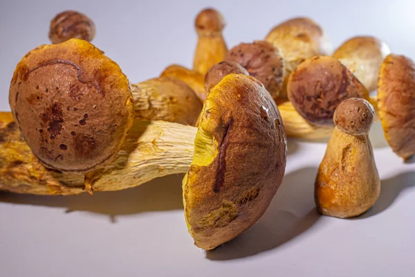 Reasons these anti-cancer mushrooms should be added to our diet