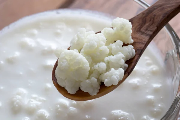 Kefir (pronounced kee-feer) is a fermented beverage traditionally made from cow, goat, or sheep milk. Believed to have originated in the...