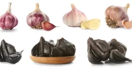 Is Black Garlic Stronger Or Has More Benefits Than Regular Garlic?