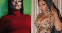 Nicki Minaj Calls Out Megan Amid Cameraman Case Update